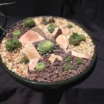 Succulents with flagstone planter